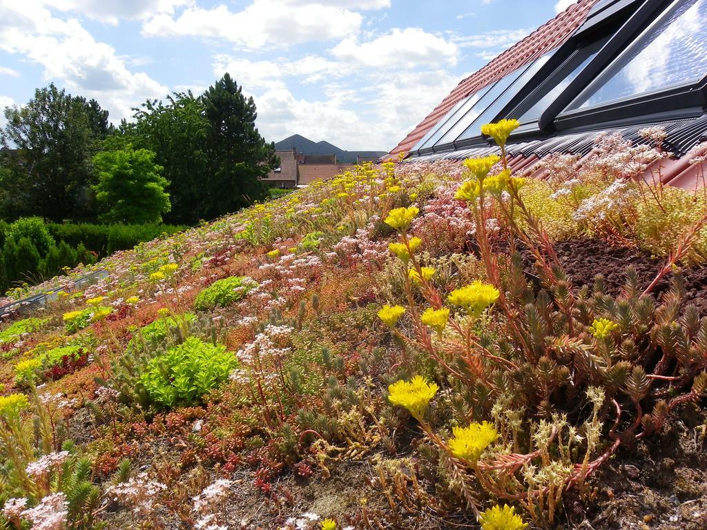 Villa Fleur De Ciel Loos-en-Gohelle Exterior foto